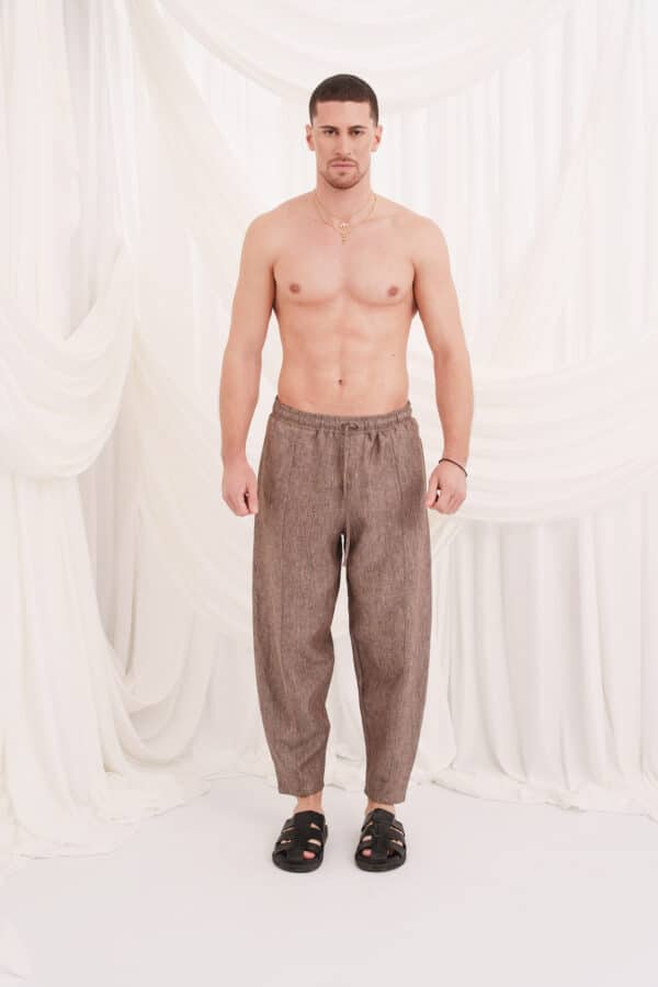 Ermis Pants Brown